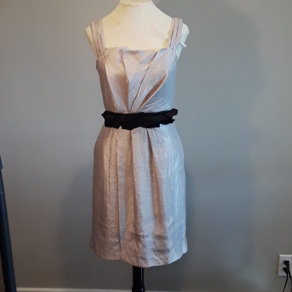Max and Cleo Dress